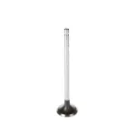 V1742 - : Stock Replacement Exhaust Valve for Melling Image
