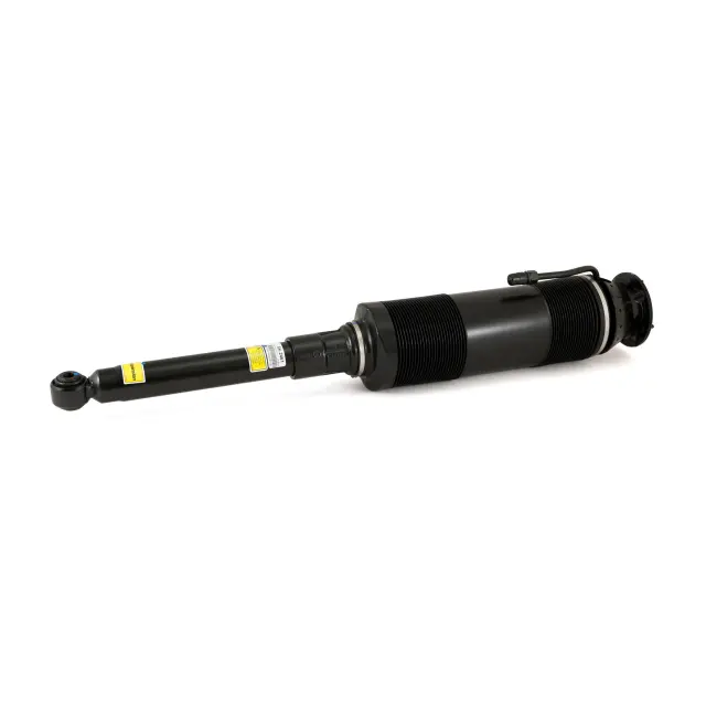 SK2461 - : Arnott Suspension Strut for Arnott Image