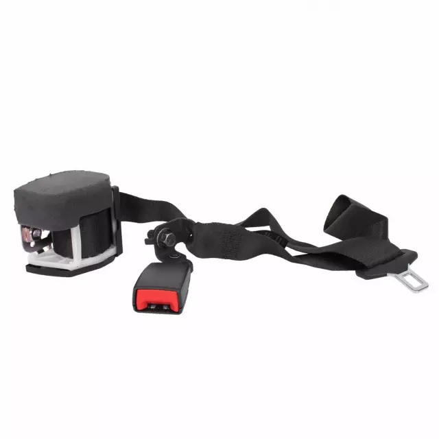 Center Belt Assembly - Ford (CK4Z-14611B66-AC)