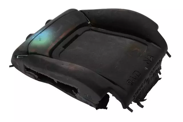 9065531 - : Passenger Seat Back Pad for Buick: LaCrosse Image