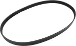 119207Y000 - : Serpentine Belt for Nissan Image