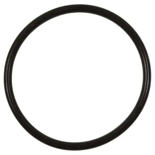 GDR507 - : Fuel Pump O-Ring for SMP CORP Image