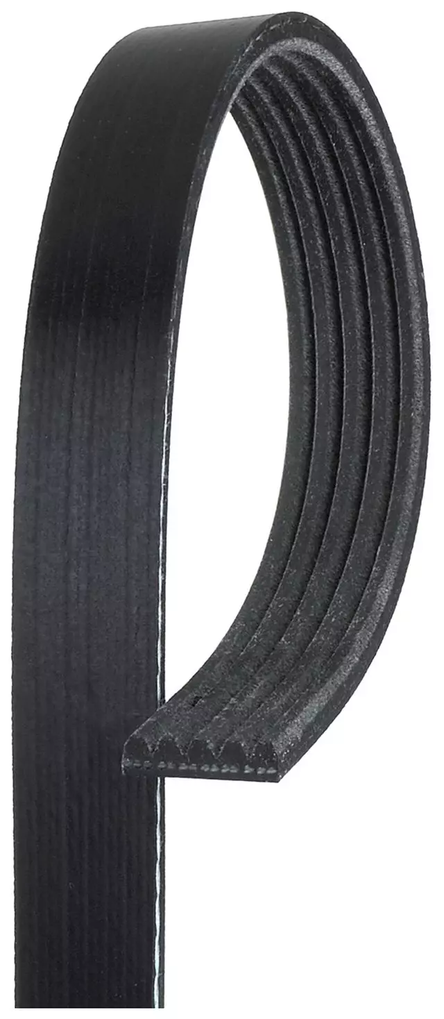 Standard V-Ribbed Serpentine Belt - ACDelco (5K836)