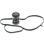 973221 - : Thermostat Insert- 221 degrees w/ Seals for Motorad Image