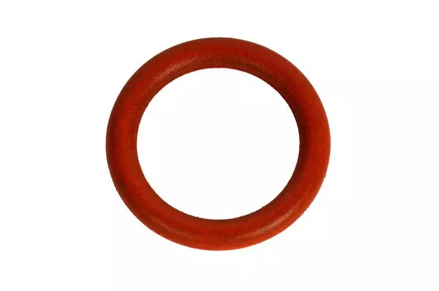 12582441 - : Heater Pipe O-Ring for Chevrolet: Equinox | Pontiac: Torrent Image