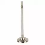 CR3Z6505A - Engine: Valves for Ford: Mustang Image