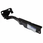 6L3Z16797AA - Body: Hinge for Ford: F-150 | Lincoln: Mark LT Image