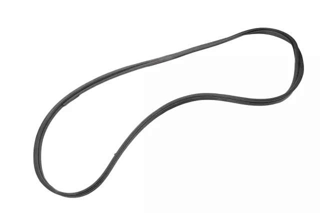 10371150 - Body: Surround Weather-strip for Cadillac: SRX Image