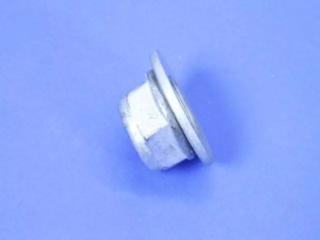 OEM NEW 2008-2019 Mopar Dodge Grand Caravan Journey Hex Nut And Washer 6509057AA - Mopar (6509057AA)