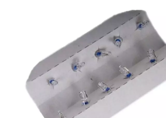 Multi-Purpose Light Bulb - GM (9433184)