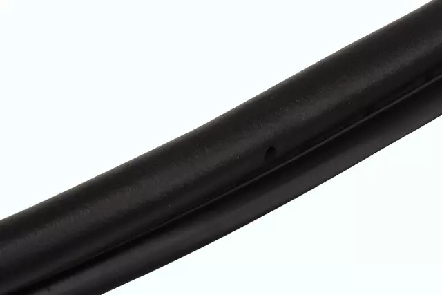 Door Weather-Strip - GM (84222071)