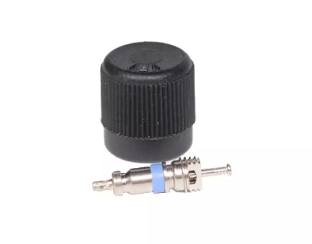 12570619 - : Fuel Injection Fuel Pressure Service Kit with Valve and Cap for Buick: Rendezvous, Roadmaster | Cadillac: DeVille, Fleetwood, Seville | Chevrolet: Caprice, Impala, Lumina APV, Malibu, Venture | Oldsmobile: Cutlass, Cutlass Supreme, Silhouette | Pontiac: Aztek, Montana, Trans Sport Image
