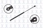 84687 - : Hood Lift Support for Focus Auto Parts Image