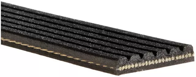 6K854A - : Standard V-Ribbed Serpentine Belt for ACDelco Image