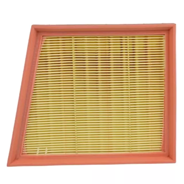 Air Filter - Ford (CN1Z-9601-A)