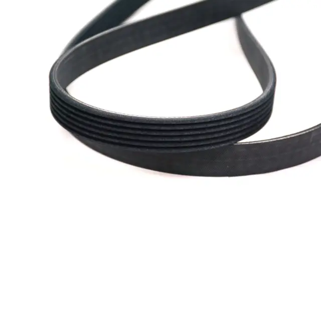 53032037AM - Electrical: Accessory Drive Belt for Mopar Image