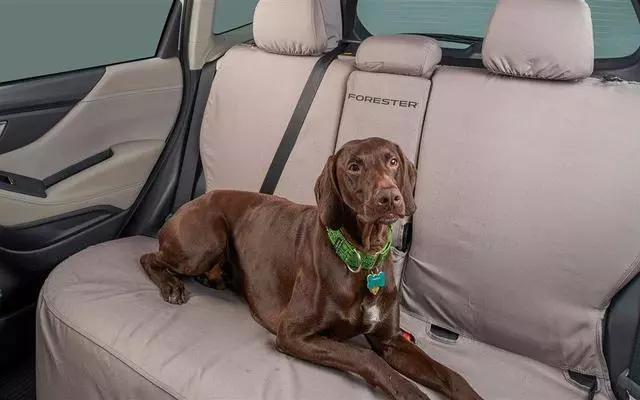 Seat Cover - Rear - Subaru (F411SSJ011)