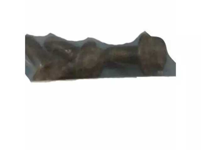 F57Z7A443A - : Cover Bolt for Ford: Mustang Mach-E Image