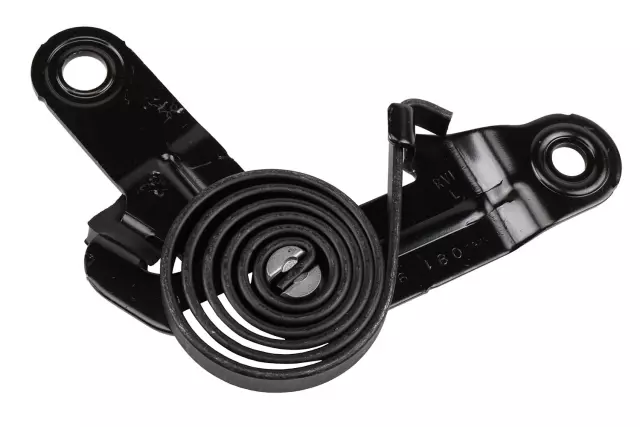 Assist Spring - GM (23258269)