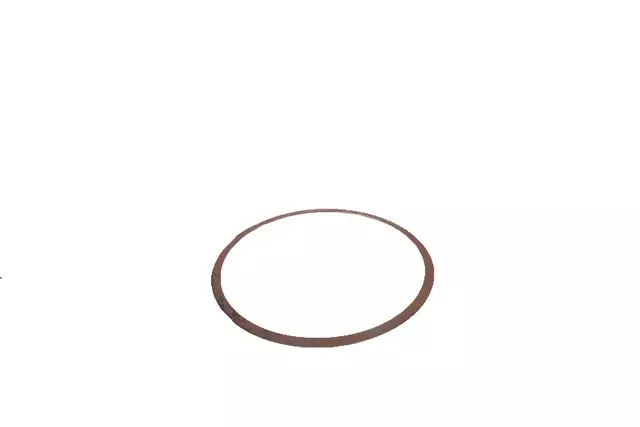 Automatic Transmission Park Gear Spring - GM (24274012)