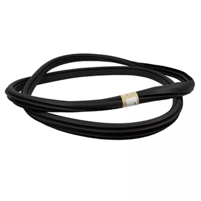 Weather-Strip On Body - Ford (JL1Z40253A11A)