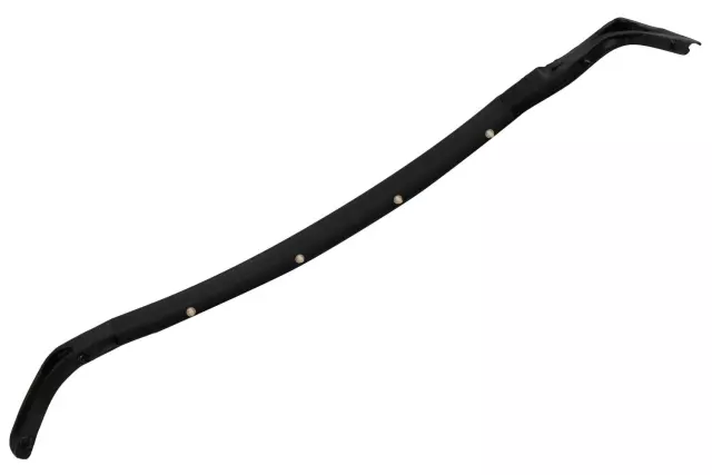 Rear Driver Side Door Rear Lower Auxiliary Sealing Strip - GM (20998458)