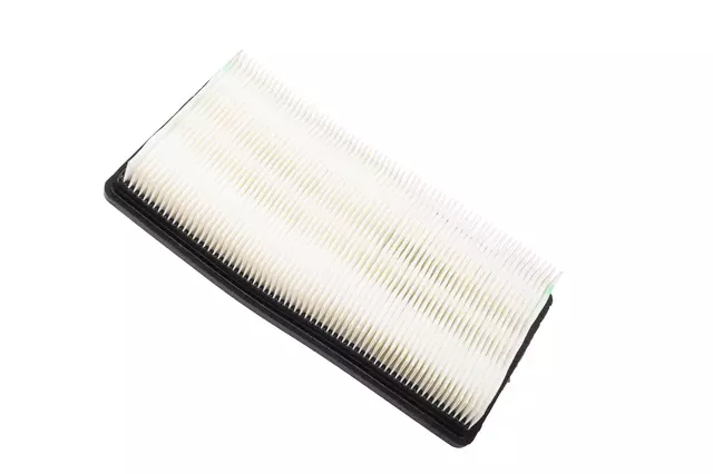 Air Filter - GM (19259086)