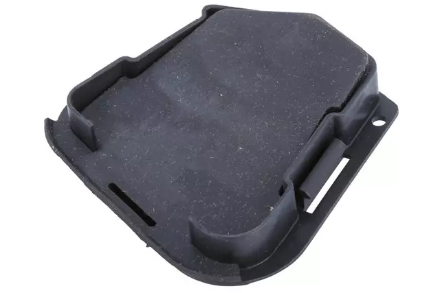 Driver Side Plenum Side Drain Valve - GM (22795687)