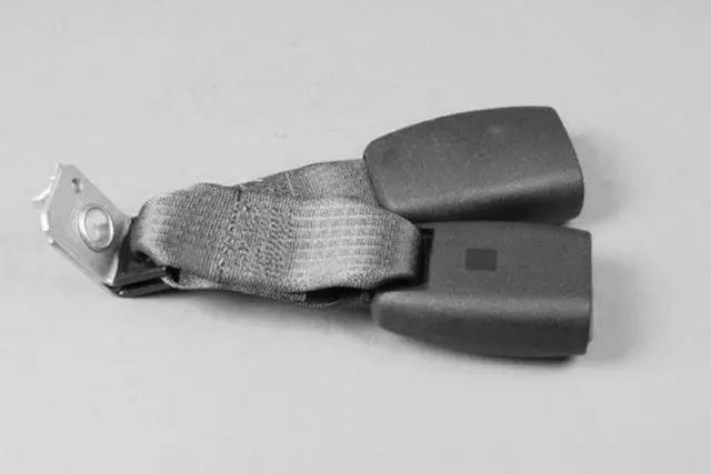 5HP171J8AB - Restraints: Two Buckles Seat Belt for Mopar Image