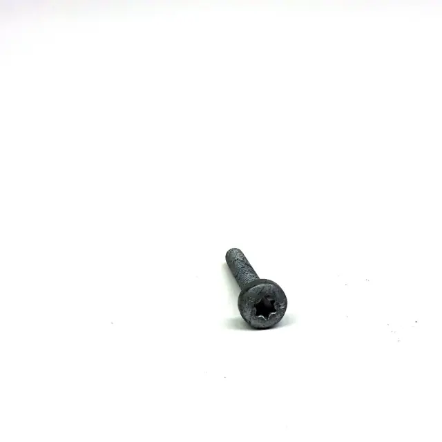 N10554005 - Hardware and Service Supplies: Screw for Lamborghini Image