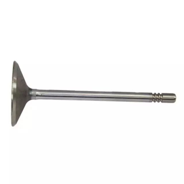 Intake Valve - Ford (2L2Z-6507-AA)