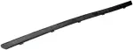 25851 - : Outer Door Window Sweep Right Side for Dorman Image