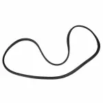 AM5Z5843720A - Body: Weatherstrip for FORD Image