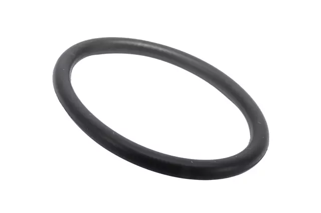 Oil Tube Seal - GM (12697070)