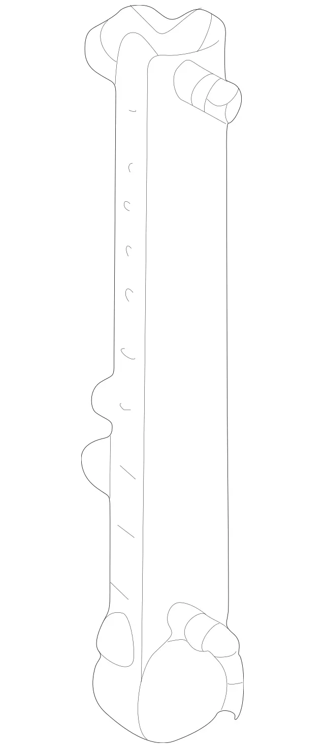 211860008864 - Driver Seat: Adjustment for Mercedes-Benz Image