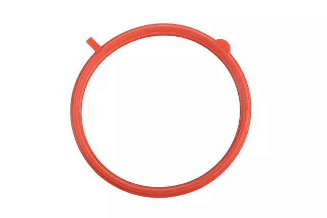 96376371 - : Fuel Injection Throttle Body Seal for Chevrolet: Aveo, Aveo5 Image