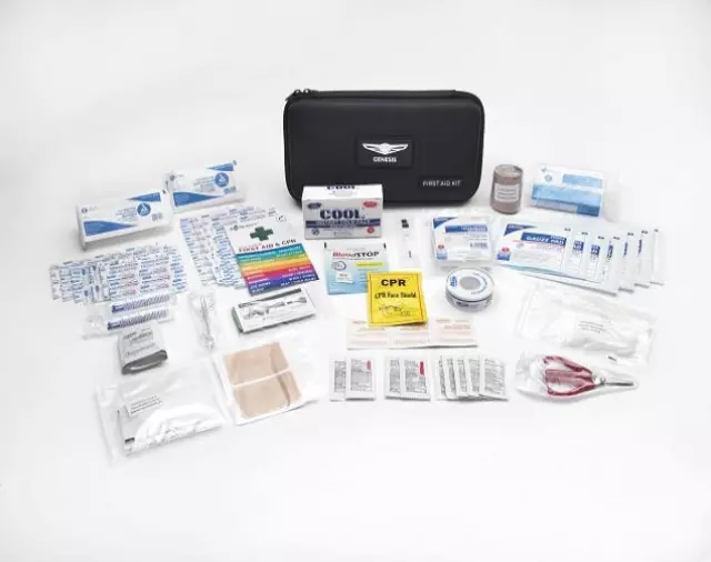 First Aid Kit - Premium - Hyundai (B1F73-AU000-21)