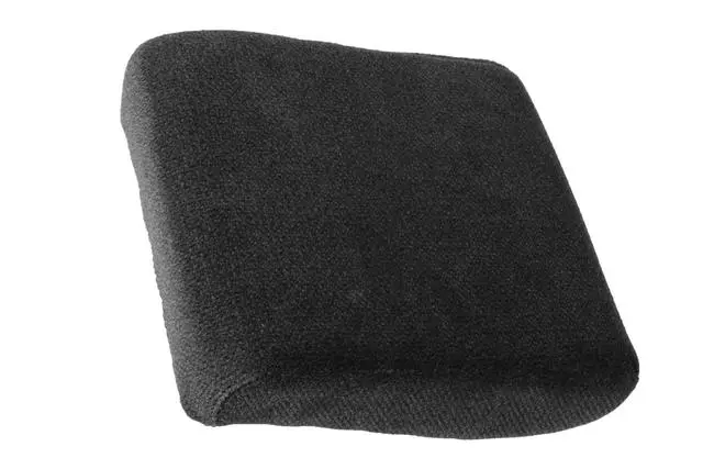 19328776 - Body: Seat Cushion for Chevrolet: Impala Limited Image
