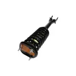882732 - : Loaded Strut Assy for GSP Image