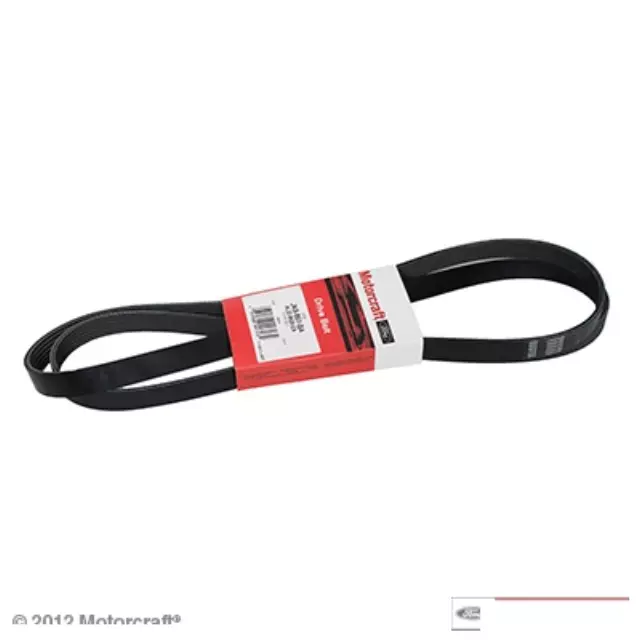 Serpentine Belt - Ford (4L2Z-8620-EA)