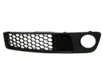 92205606 - : Passenger Side Front Lower Grille for Pontiac: G8 Image