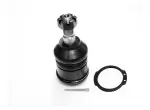 X17BJ6832 - : Ball Joint for SUSPENSIA Image