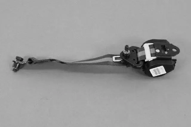 1VT98KJCAB - : Belt for Mopar Image