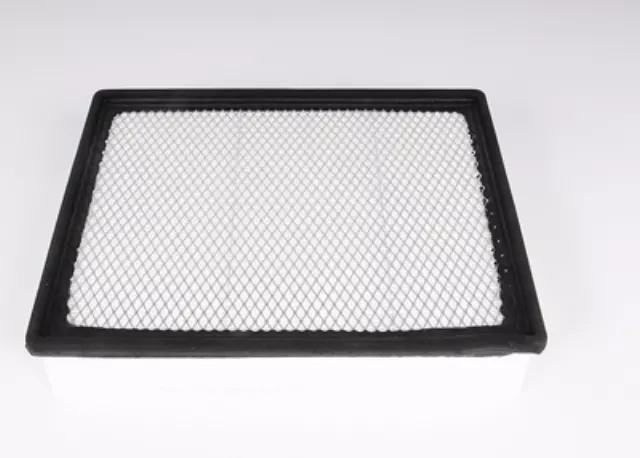 19166111 - : Air Filter for Chevrolet: Silverado 2500 HD, Silverado 3500 | GMC: Sierra 2500 HD, Sierra 3500 Image