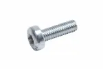 55589127 - : Multi-Purpose Bolt for GM Image