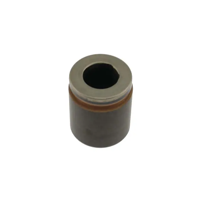 7854 - Brakes &amp; Brake Parts: Disc Brake Caliper Piston for Carlson Image