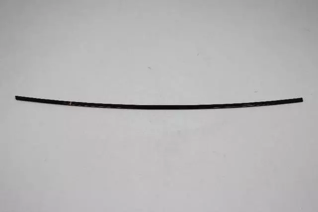 68196931AA - Exterior Ornamentation: Rear Door Molding, Left for Dodge: Dart Image