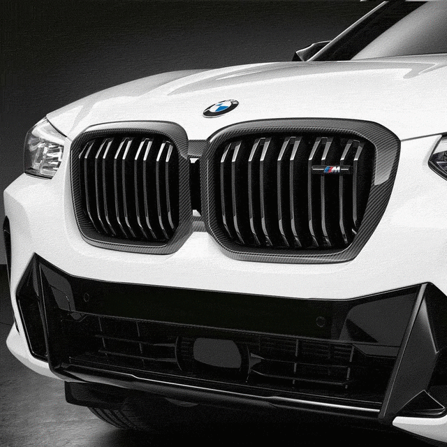 BMW M PERFORMANCE CARBON FIBER OUTTER GRILLE TRIM - BMW (51-71-9-628-252)
