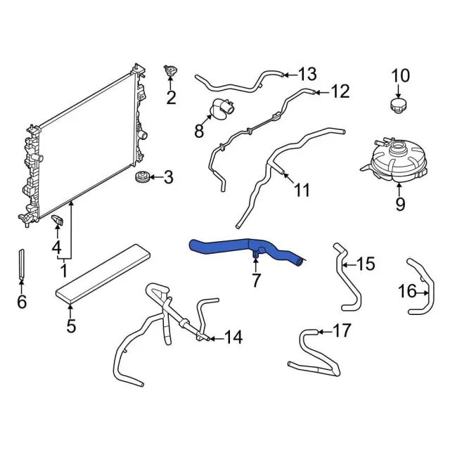 LX6Z8260AE - Cooling System: Motorcraftâ„¢ Upper Hose for Ford: Escape, Maverick | Lincoln: Corsair Image