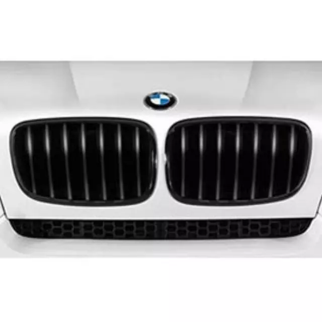 E70 X5, X71 X6 M Performance Black Kidney Grille - Right - BMW (51-71-2-150-246)